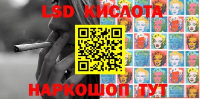 гашик Донской