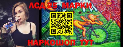 гашик Донской