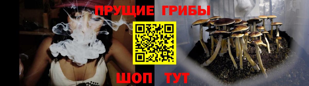 Галлюциногенные грибы Cubensis  Вход с VPN  закладки  Междуреченск 